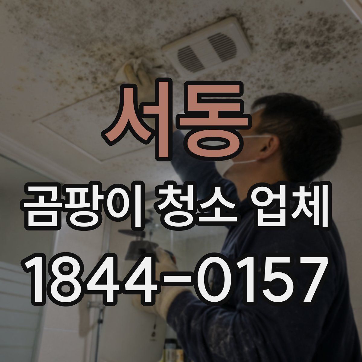 서동 곰팡이 청소 업체