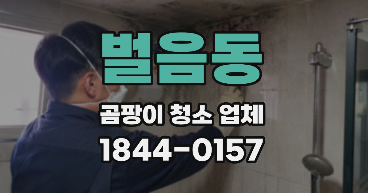 벌음동 곰팡이 청소 업체
