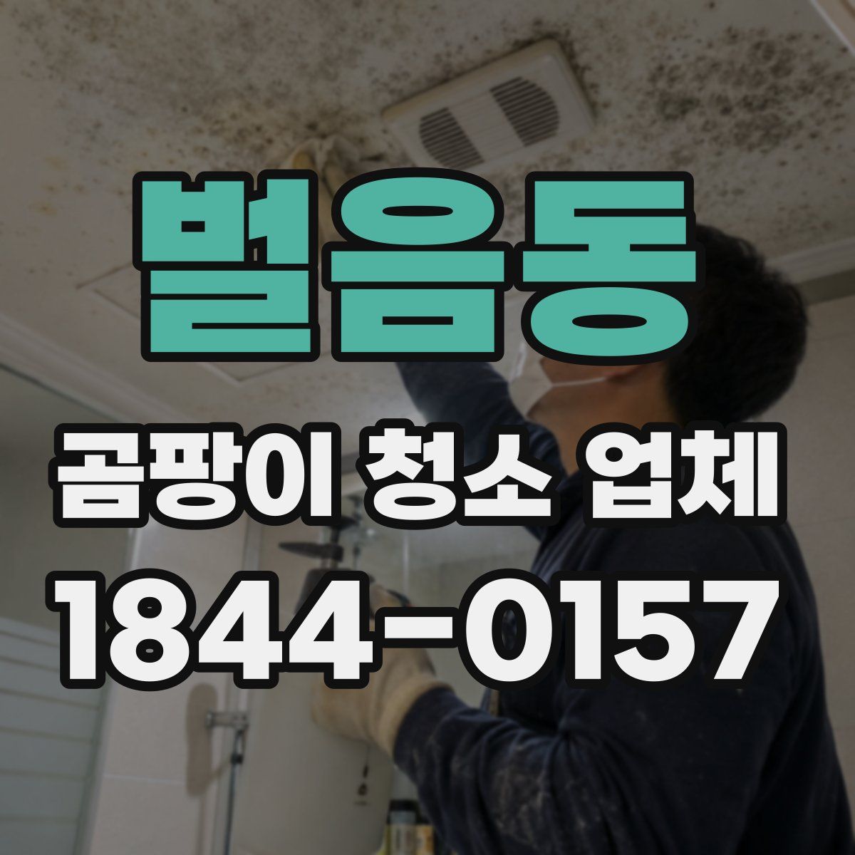 벌음동 곰팡이 청소 업체