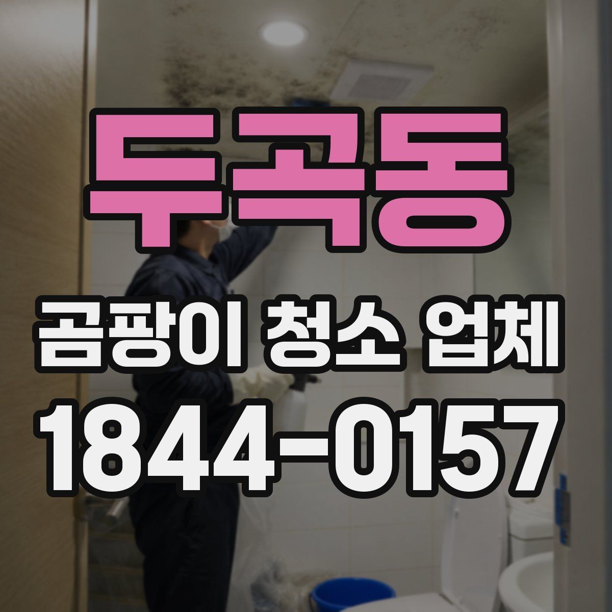 두곡동 곰팡이 청소 업체