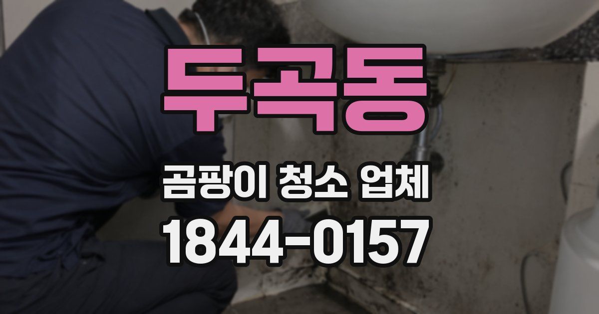두곡동 곰팡이 청소 업체