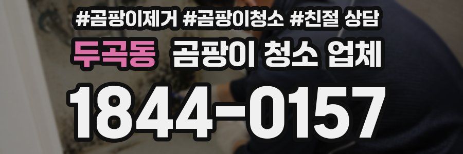 두곡동 곰팡이 청소 업체