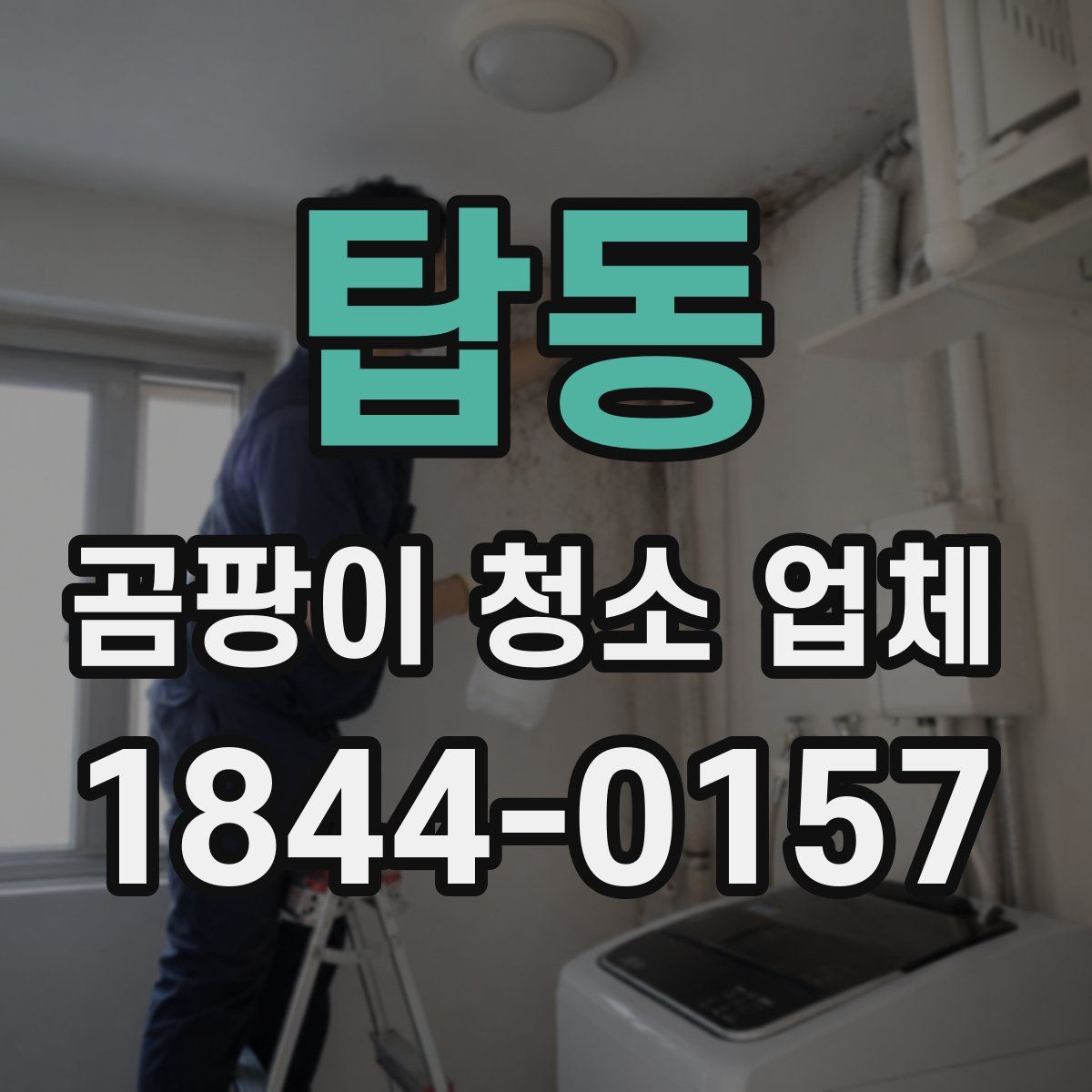 탑동 곰팡이 청소 업체