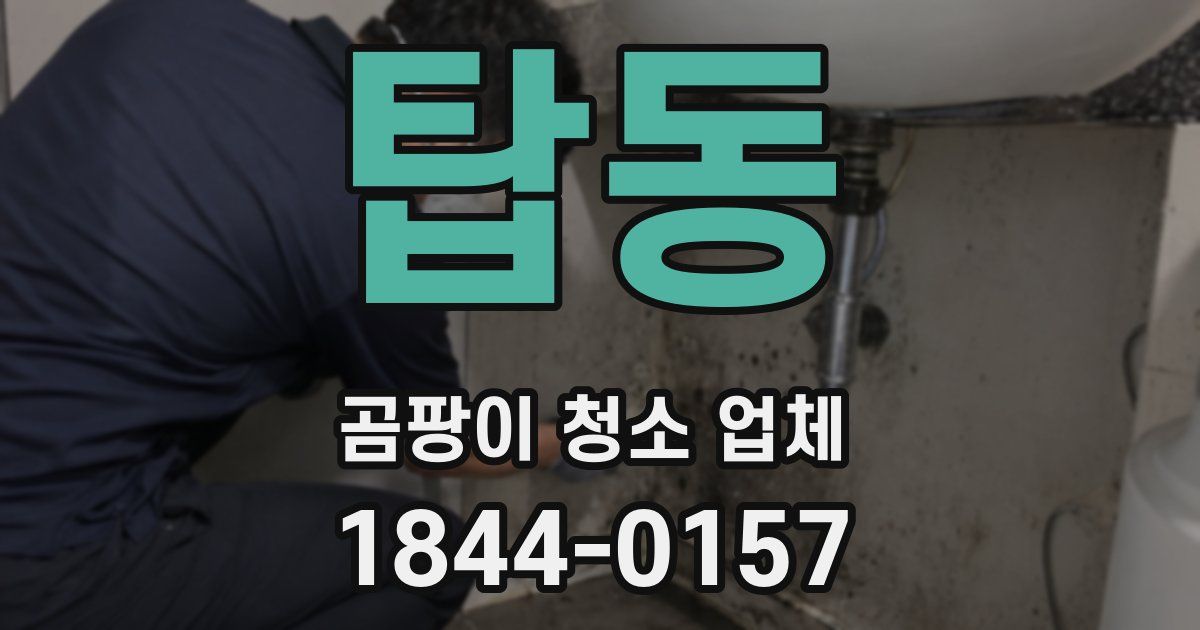 탑동 곰팡이 청소 업체