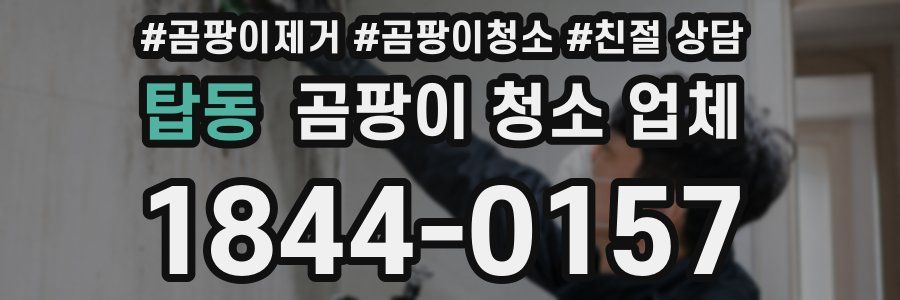 탑동 곰팡이 청소 업체
