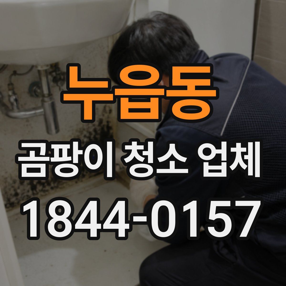 누읍동 곰팡이 청소 업체