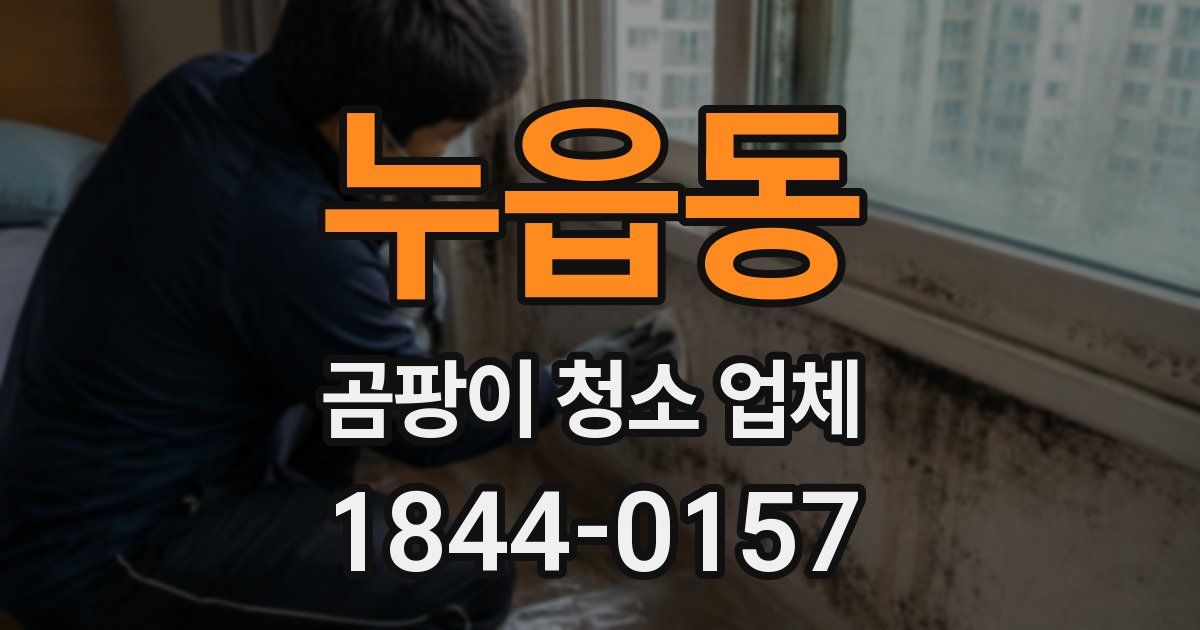 누읍동 곰팡이 청소 업체