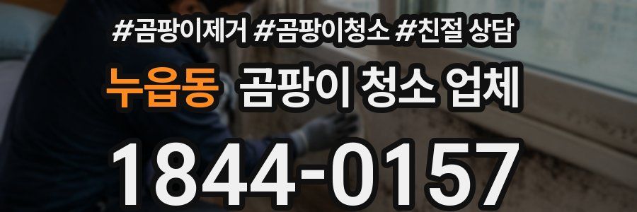 누읍동 곰팡이 청소 업체