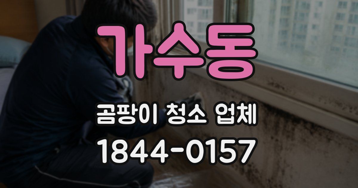 가수동 곰팡이 청소 업체