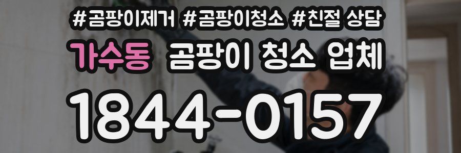 가수동 곰팡이 청소 업체