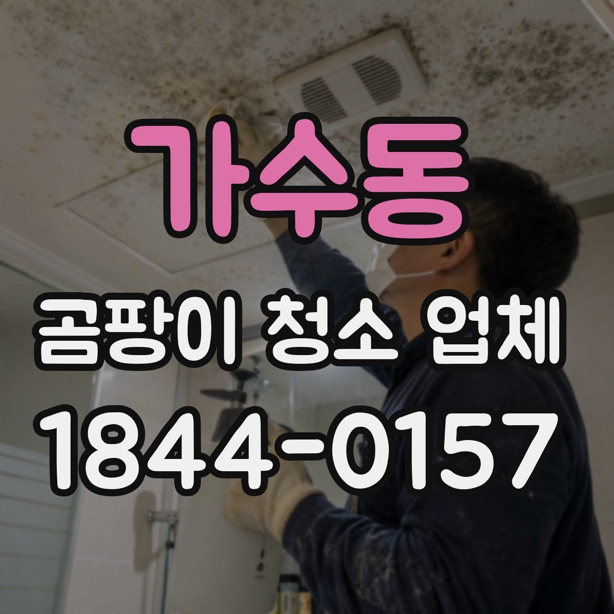 가수동 곰팡이 청소 업체