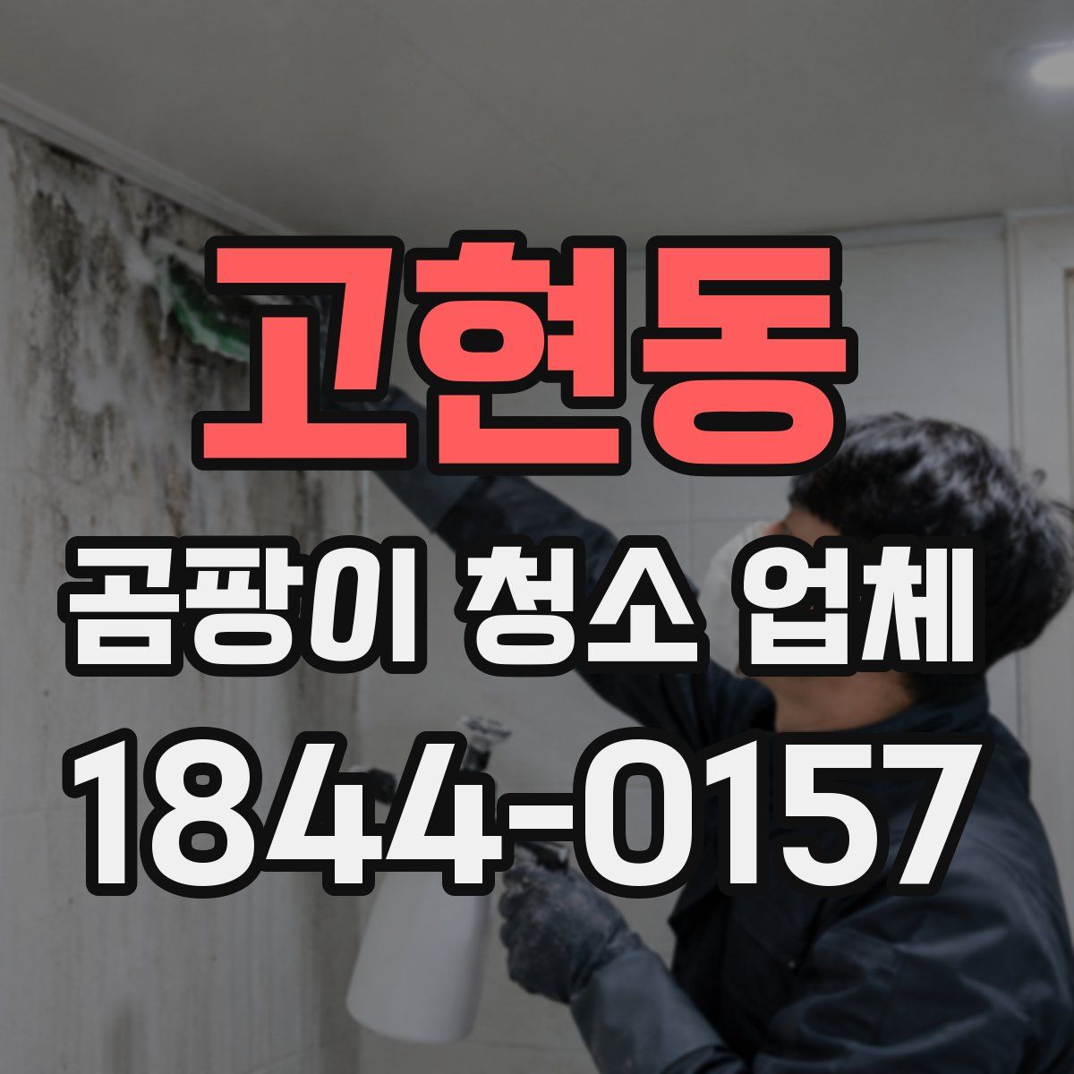 고현동 곰팡이 청소 업체