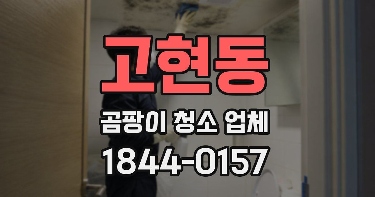고현동 곰팡이 청소 업체