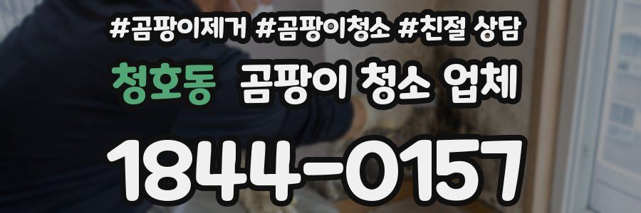 청호동 곰팡이 청소 업체