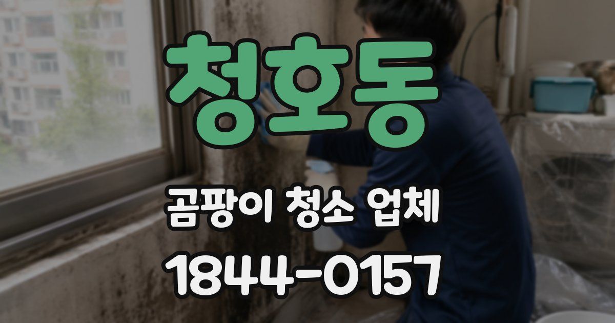 청호동 곰팡이 청소 업체