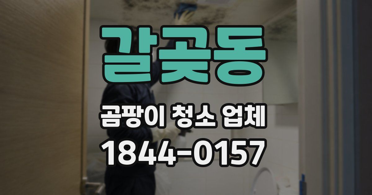 갈곶동 곰팡이 청소 업체