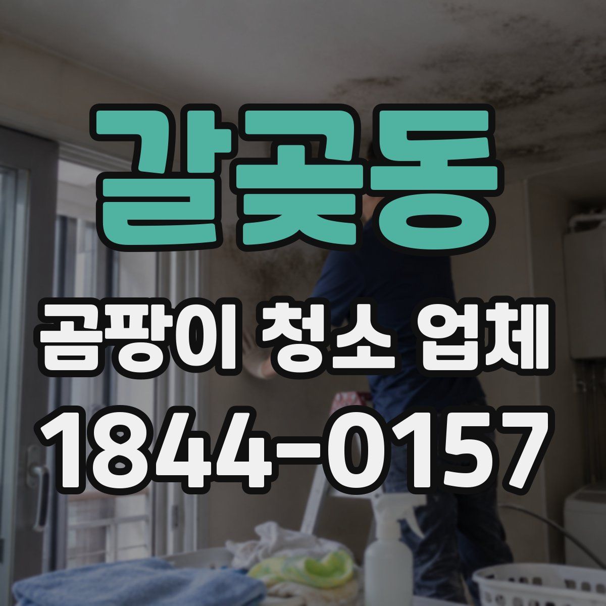 갈곶동 곰팡이 청소 업체