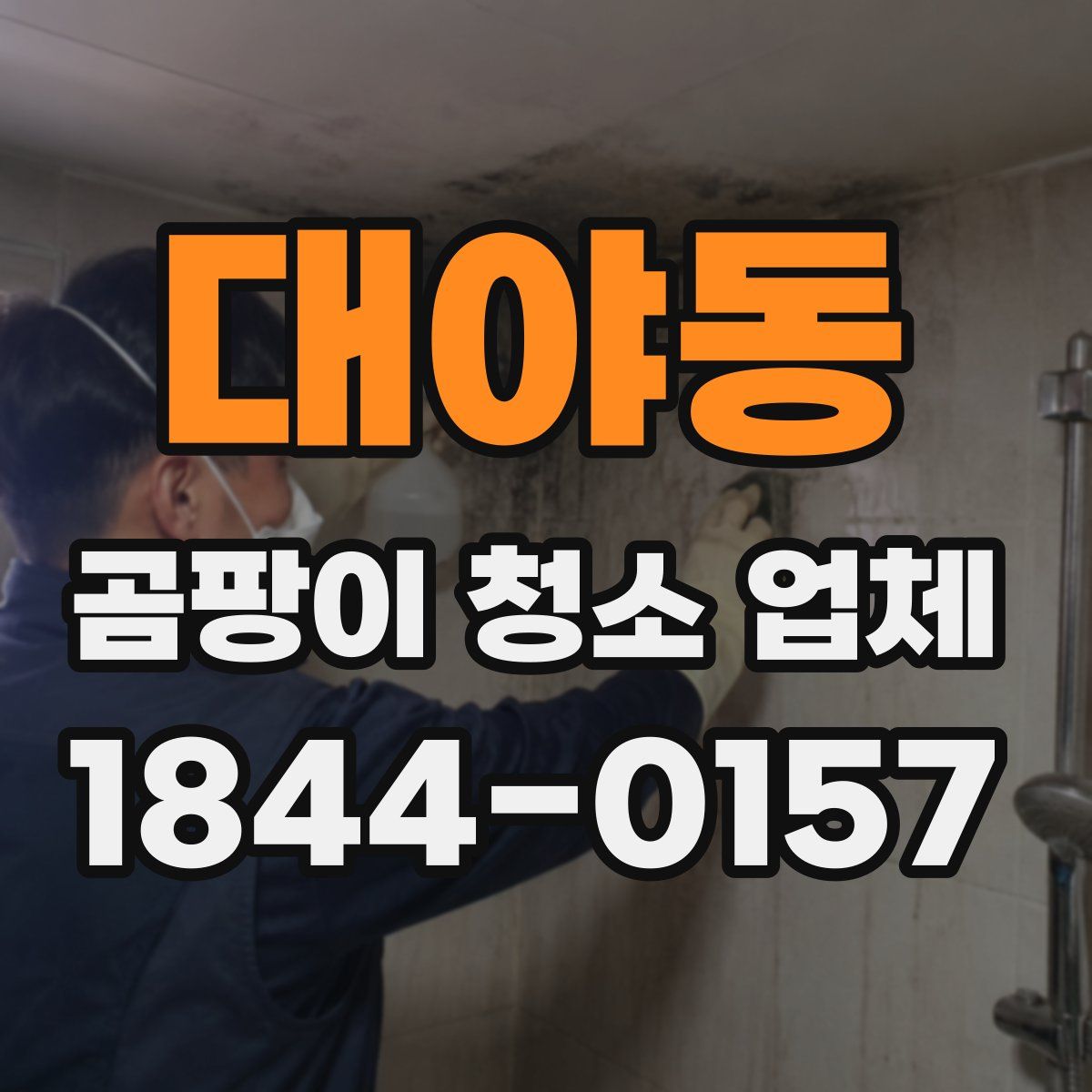 대야동 곰팡이 청소 업체