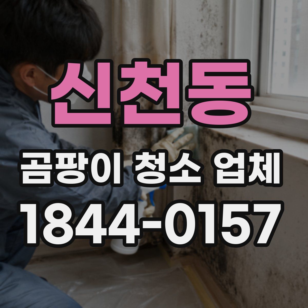 신천동 곰팡이 청소 업체
