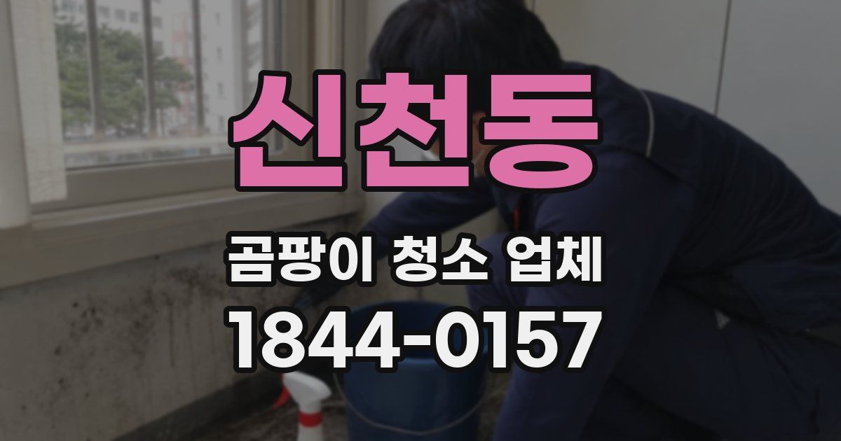 신천동 곰팡이 청소 업체