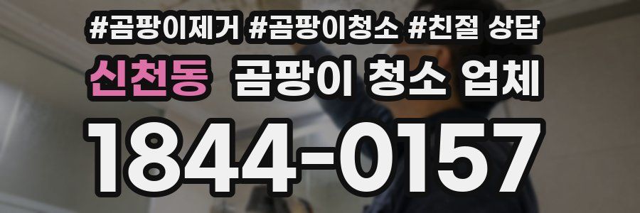 신천동 곰팡이 청소 업체