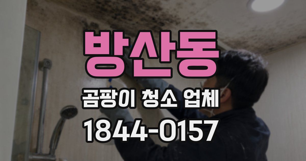 방산동 곰팡이 청소 업체
