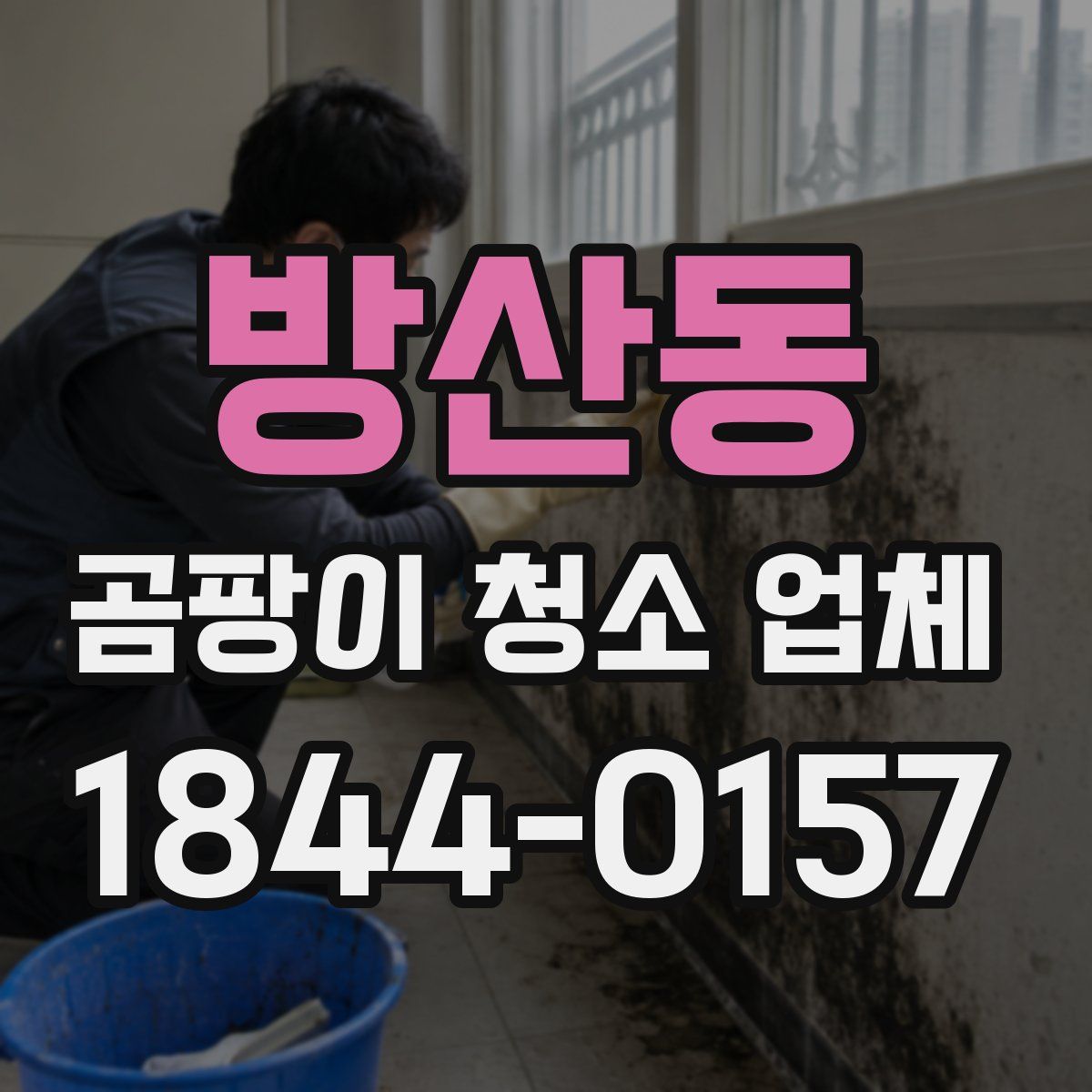 방산동 곰팡이 청소 업체
