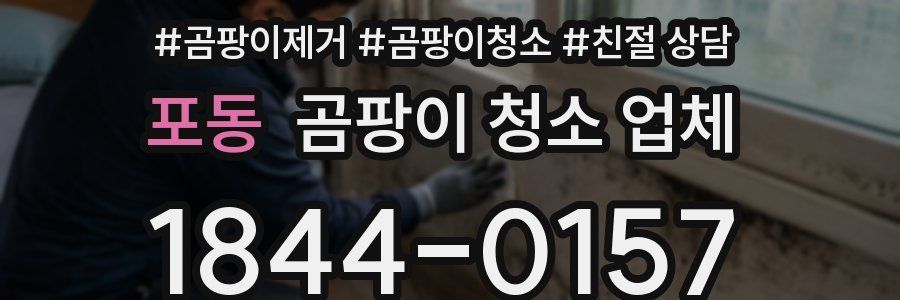포동 곰팡이 청소 업체