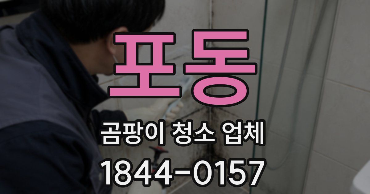 포동 곰팡이 청소 업체