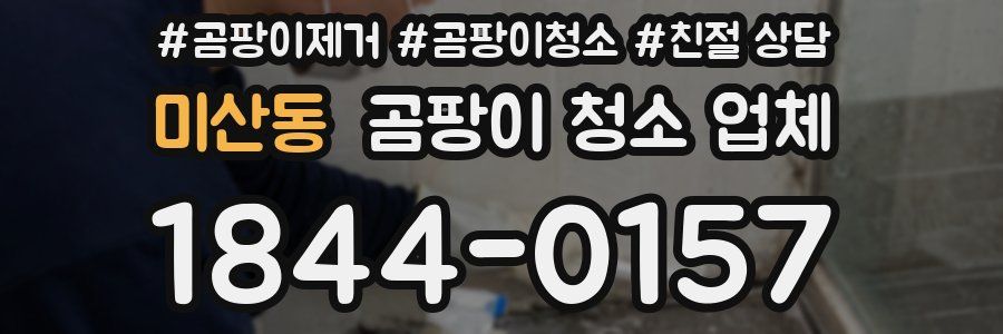 미산동 곰팡이 청소 업체