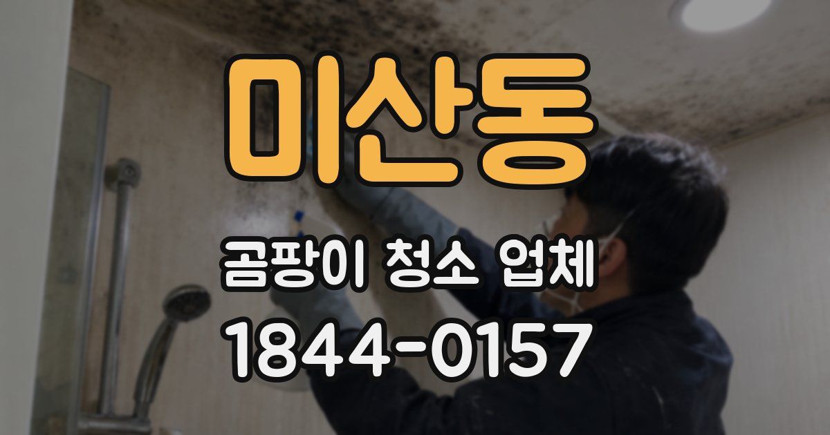 미산동 곰팡이 청소 업체