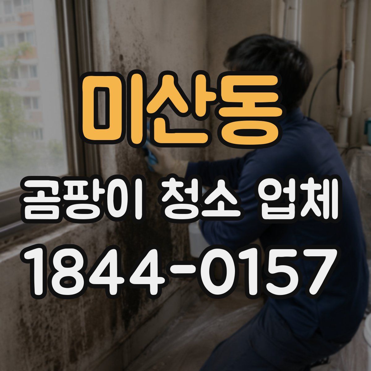 미산동 곰팡이 청소 업체