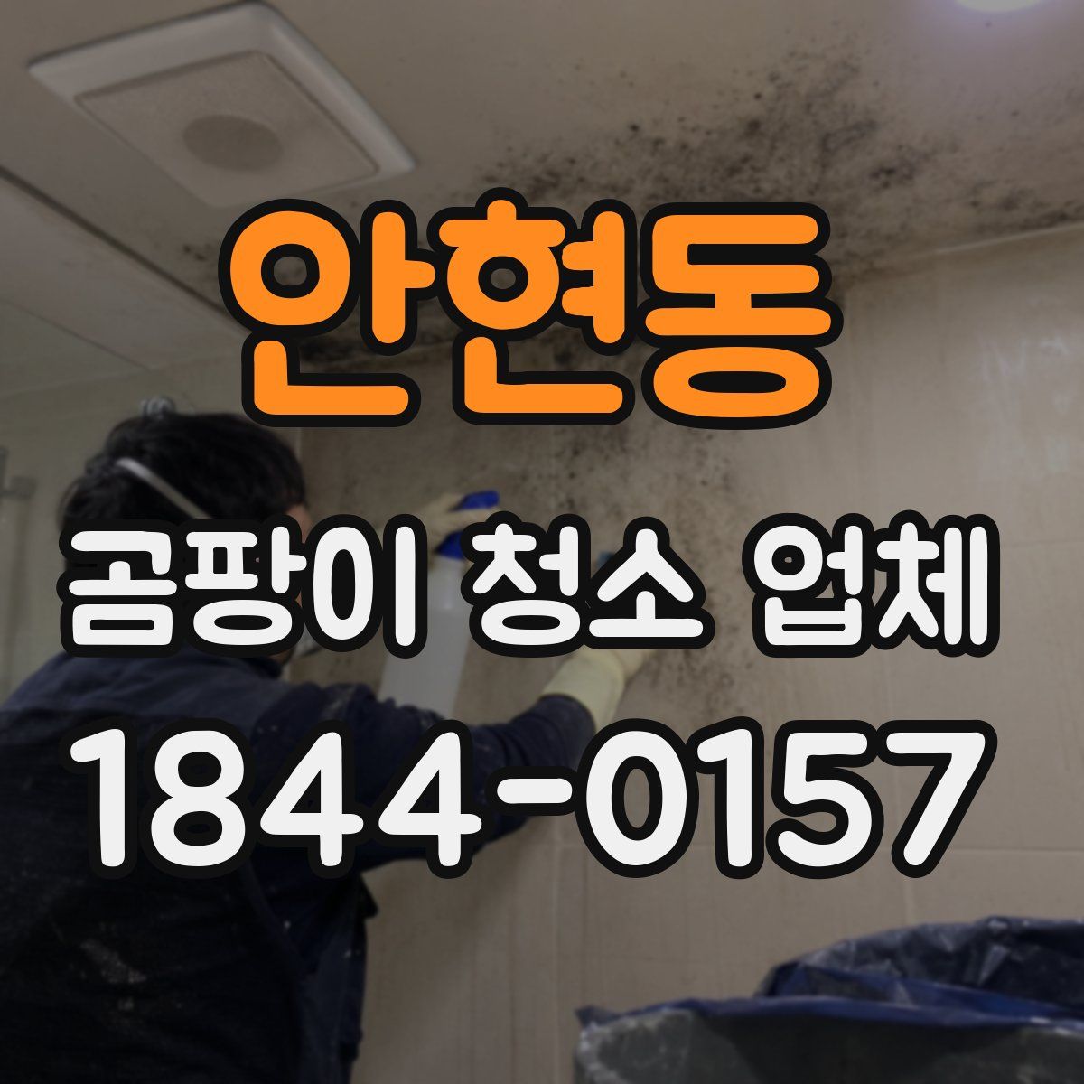 안현동 곰팡이 청소 업체