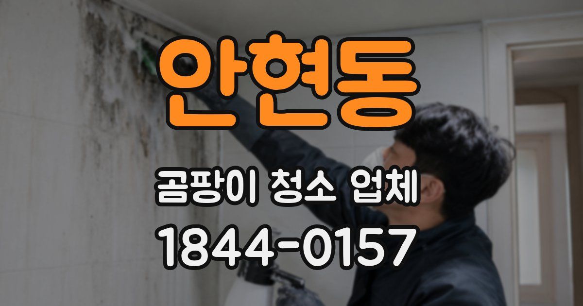 안현동 곰팡이 청소 업체