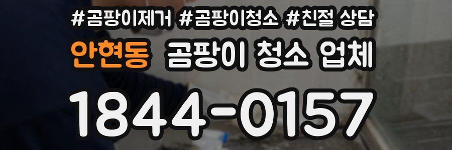 안현동 곰팡이 청소 업체