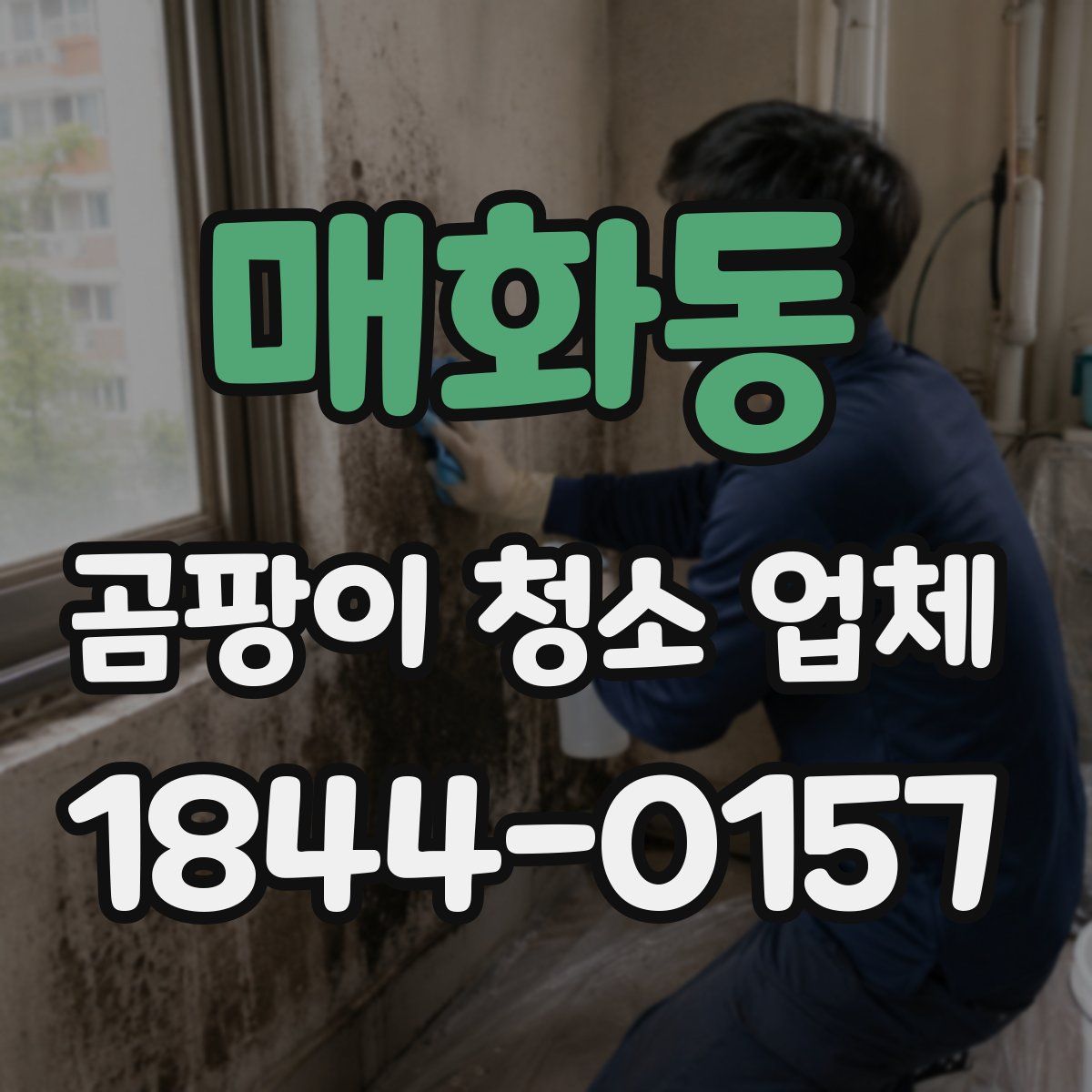 매화동 곰팡이 청소 업체