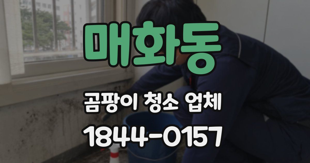 매화동 곰팡이 청소 업체