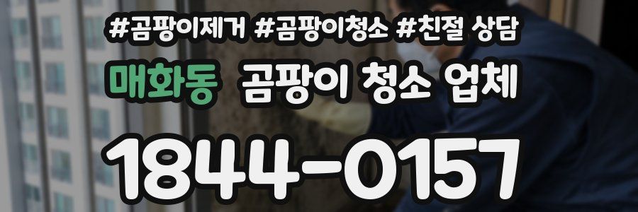 매화동 곰팡이 청소 업체