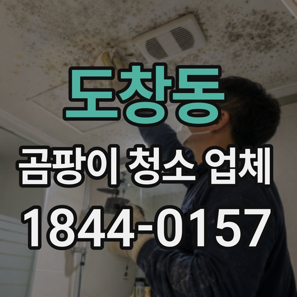 도창동 곰팡이 청소 업체 작업 전 확인해야 할 환기 조건