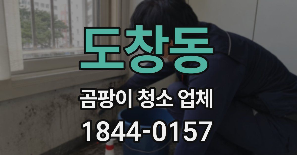 도창동 곰팡이 청소 업체