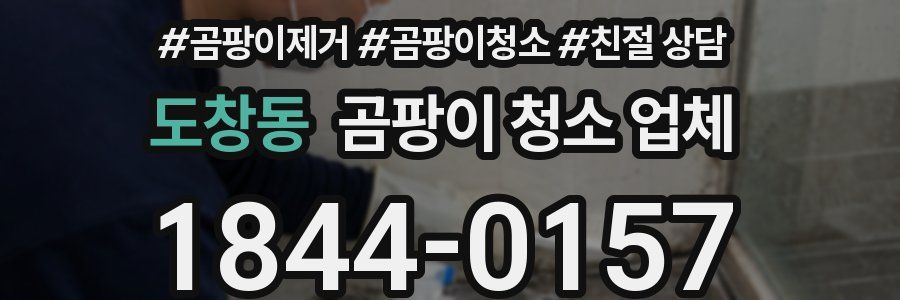 도창동 곰팡이 청소 업체