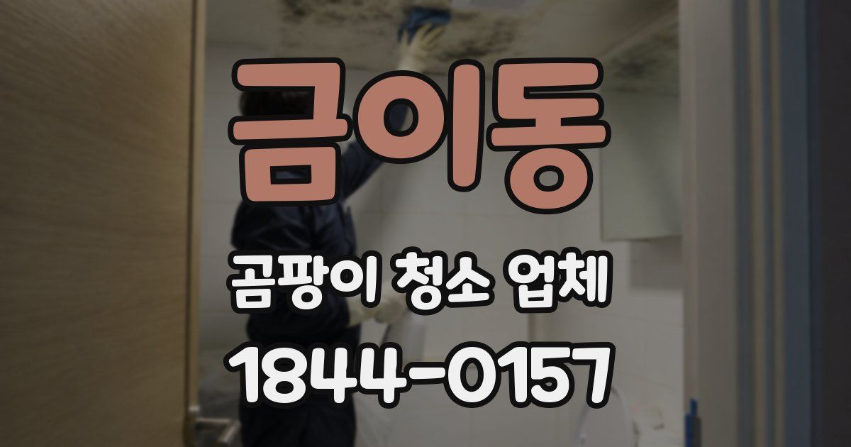 금이동 곰팡이 청소 업체