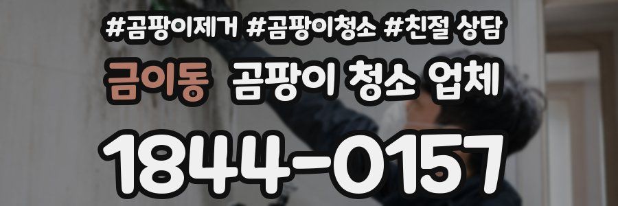 금이동 곰팡이 청소 업체