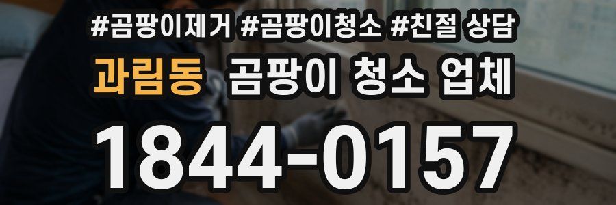 과림동 곰팡이 청소 업체