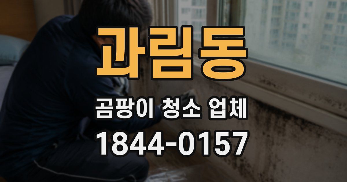 과림동 곰팡이 청소 업체