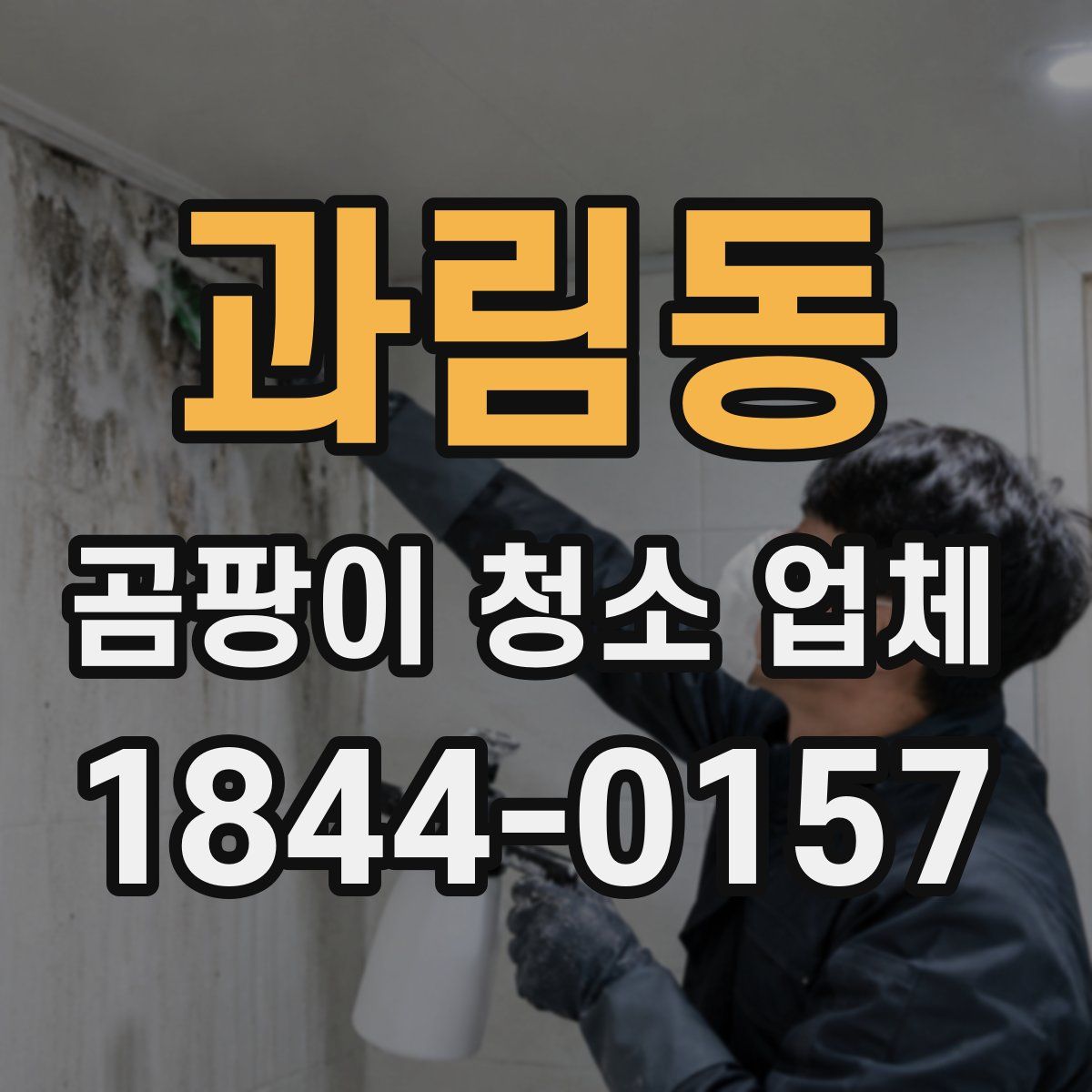 과림동 곰팡이 청소 업체