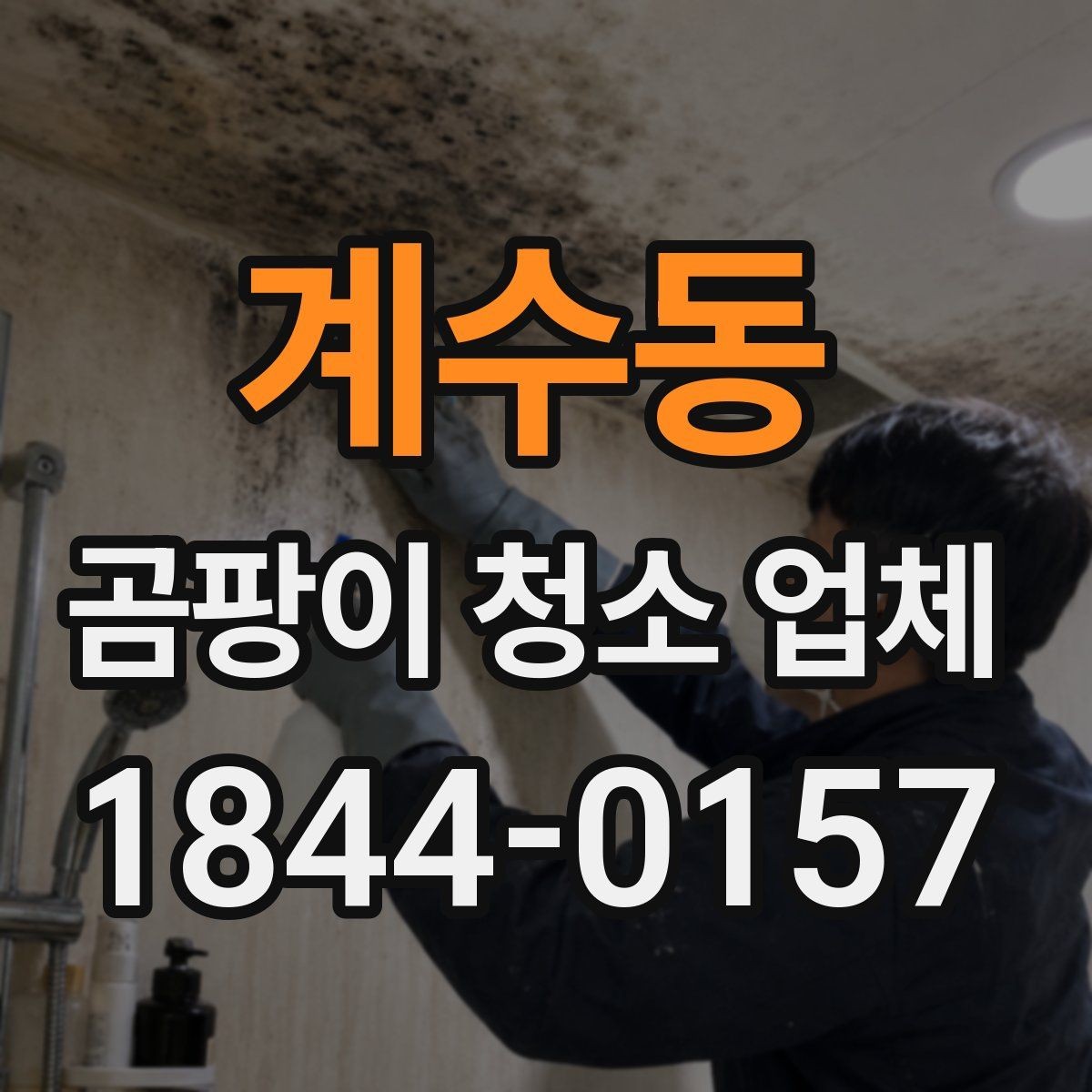 계수동 곰팡이 청소 업체 선택 시 서비스 범위 확인하기