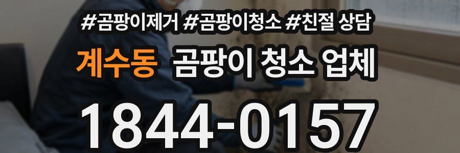 계수동 곰팡이 청소 업체
