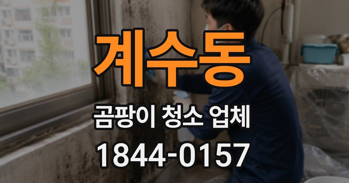 계수동 곰팡이 청소 업체