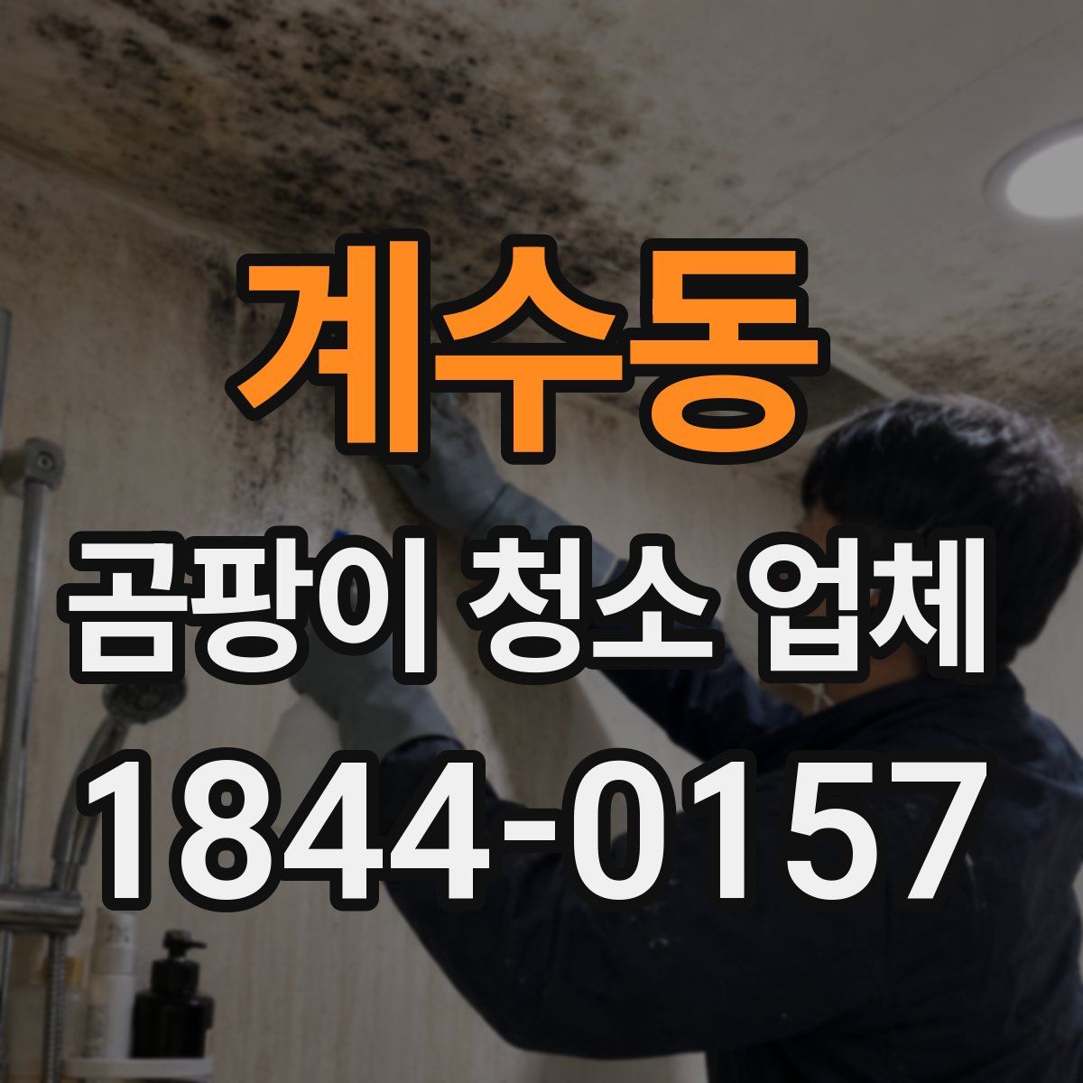 계수동 곰팡이 청소 업체
